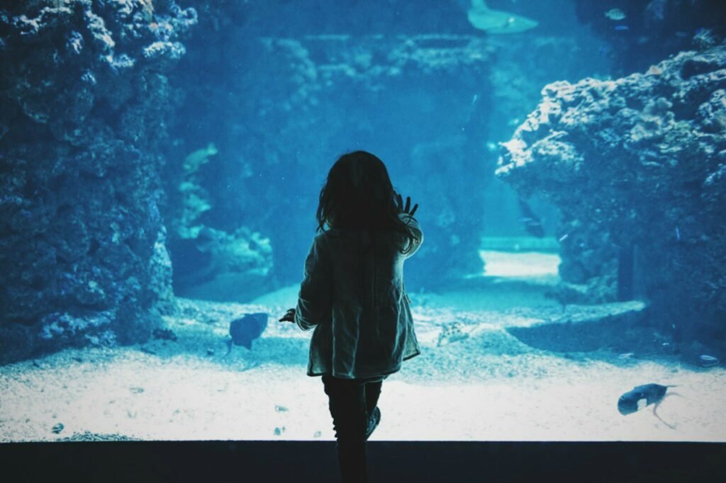 Toddler touching the glass of an aquarium tank